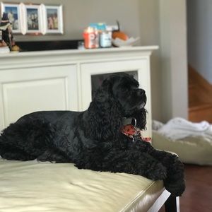 Meet your Posher, Ashley